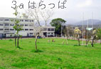 cA[i͂